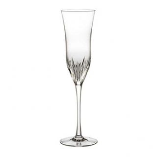 Waterford Carina Essence Iced Champagne Flute