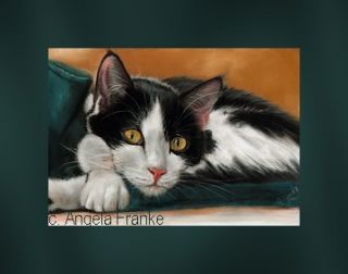 Painting Tuxedo Cat Pastell Katze Chat Katze Portrait Zeichnung