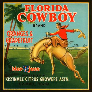 FLORIDA KISSIMMEE COWBOY HORSE ORANGE GRAPEFRUIT VINTAGE POSTER REPRO
