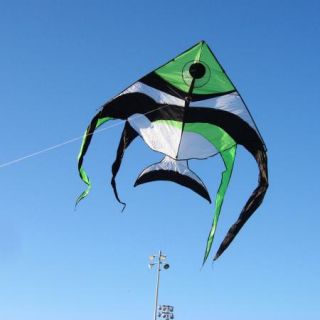 New Giant Angelfish Fish Kite Huge 80 w 12 5 L Beach Park Sea Ocean
