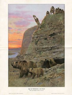 Prehistoric Cave Bear Hunting Antique Litho Print H Kraemer