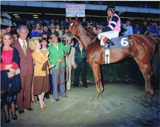 Affirmed 1979 Jockey Club Gold Cup Horse Racing Photo