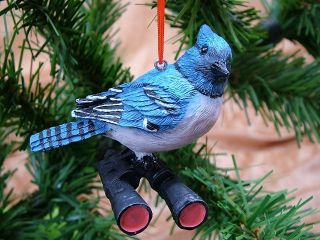 New Bird Watcher Blue Jay Christmas Tree Ornament