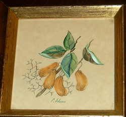 watercolor Painting by P.Adams.PEANUTS + FILBERTS Framed Rudolf Lesch