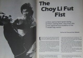 88 Kicking Punching Mag Kung Fu Karate Doc Fai Wong