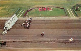 MI Livonia The Detroit Race Course Horses Early T6051