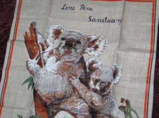 Sweet Vtg Linen Tea Towel Unused Lone Pine Sanctuary Austrailia Koalas
