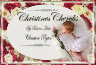Beautiful Reborn Baby Doll Christopher by Christine Cherubs
