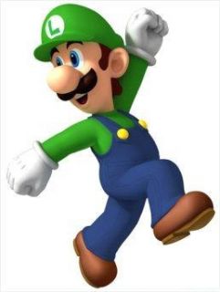 Costumes Super Mario Bros Luigi Beanie Hat