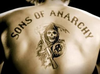 Sons of Anarchy Box Set The Complete Seasons 1 2 3   39 Episodes 12