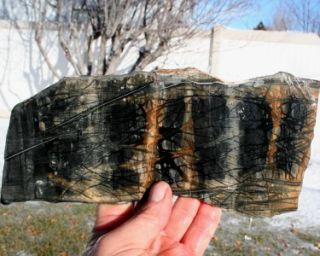 Utah Picasso Marble Slab 335 grams Specimens Rock Jasper Agate Mineral