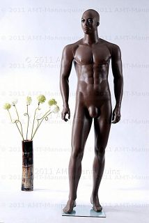 Male Full Body Mannequins African American Display Manikin Andy 1 Wig