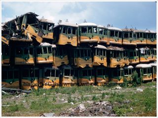 1950s Los Angeles Electric Rail Trolley Cars in Junk Yard Photo