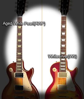 Dish AWP Fret Markers Inlay Sticker Decal Guitar