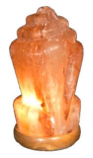 Tropical Sea Shell Himalayan Ionic Crystal Salt Rock Lamp