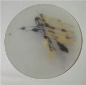 This  listing is for this vintage Meehan art glass plate