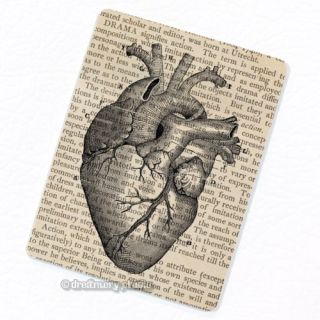 Heart 1 Deco Magnet Anatomy Vintage Medical Illustration Refrigerator