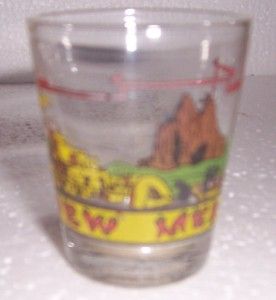 New Mexico Southwest Souvenir Liquor Shot Bar Glass