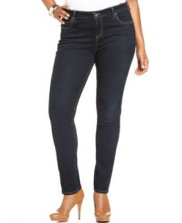 Kut from the Kloth Plus Size Jeans, Catherine Boyfriend, Wise Wash