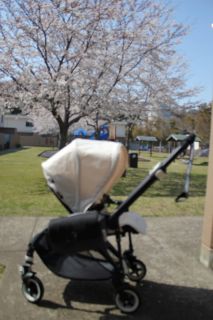 LIMITED EDITION 2011 BUGABOO ALL BLACK BEE +PLUS/OFF WHITE HOOD AND