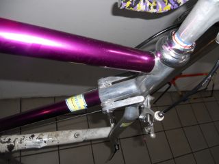 Vitus Futural with Campagnolo Triomphe Parts Very Nice