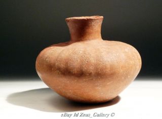 Pre Columbian Nayarit Pottery Olla Gradooned Ribbed Squash Shaped