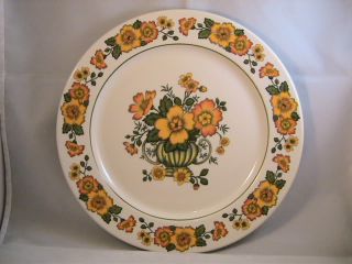 Gorgeous dinner plate in excellent vintage condition with just some