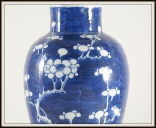 Antique 19th Century Chinese Porcelain Prunus Vase Cover