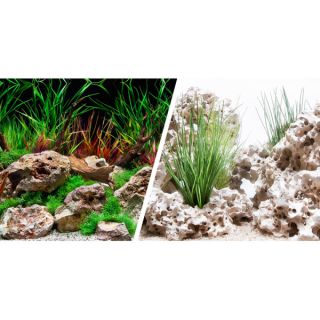 Fish Tank Backgrounds and Related Fish Aquarium Accessories