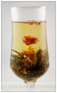 160 Handgefertigter Blooming Tea Teeblume,Flowering Tee