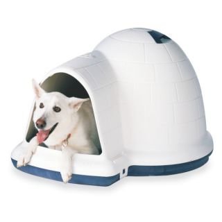 Dog House & Shelter for Dogs