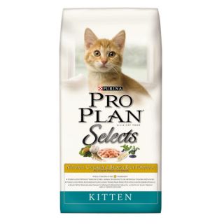 Purina Pro Plan brand CAT FOOD Chicken & Rice Formula Dry Kitten Food   Cat