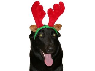 Elchgeweih Rentiergeweih Weihnachtsmütze Nikolausmütze Mütze Hunde