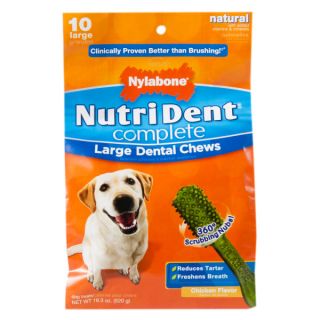 Nylabone NutriDent Large Dental Chews   10 ct