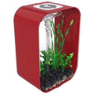 Medium Aquariums for Fish and Related Fish Accessories