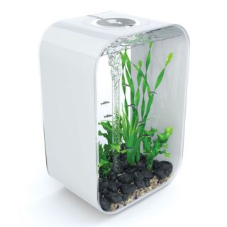 Medium Aquariums for Fish and Related Fish Accessories