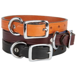 Puppy Collars and Harnesses for Small Dogs