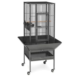 Prevue Pet Products Parkway Wrought Iron Bird Cage   Bird   Boutique