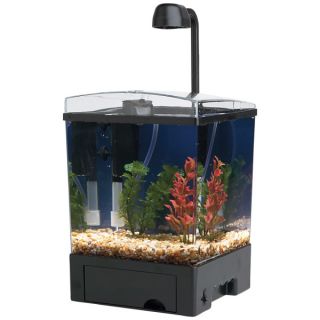 Tetra Water Wonders 1.5 Gallons Aquarium Cube   Desktop   Aquariums
