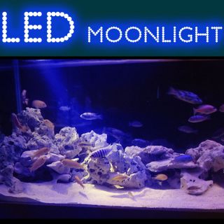 BLAU LED MONDLICHT Aquarium Licht Leuchte Beleuchtung