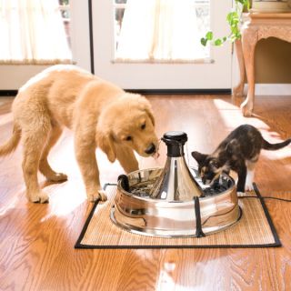 Drinkwell 360 Stainless Steel Pet Fountain   Cat   Boutique