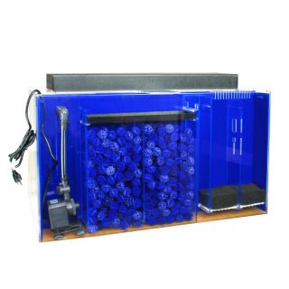 Fish Aquariums Over 40 Gallons Clear For Life Rectangle Acrylic UniQuarium 50 Gallons