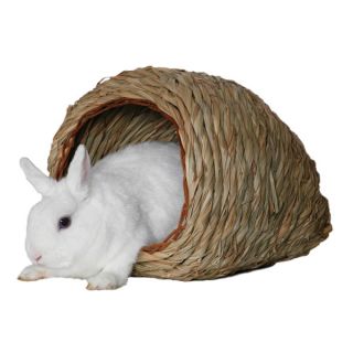 Small Pet Furniture and Other Related Pet Accessories