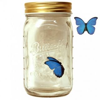 fliegender flatternder Schmetterling im Glas   blauer Morpho Falter