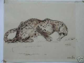 Oskar Frey EBINGEN Döffingen Leopard Gepard Knochen