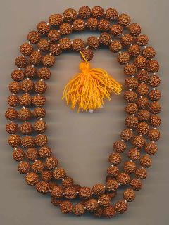 Mala Halskette Haridwar Indien (11mm) Rudraksha Samen 62b