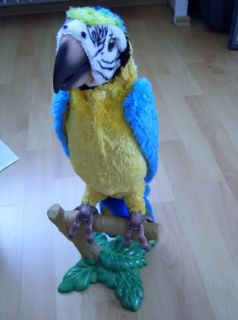 Fur Real FurrealFriends Sprechender Papagei Hasbro ab 6 Jahren