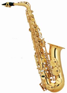 SaxophonAlt Saxophon+ KofferEbHoch FisMessing