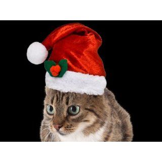 Weihnachtsmütze mit Halsband für Katzen wm 99