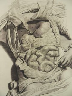 BAUCH UNTERLEIB ABDOMEN EINGEWEIDE ANATOMIE MEDIZIN BIDLOO 1685